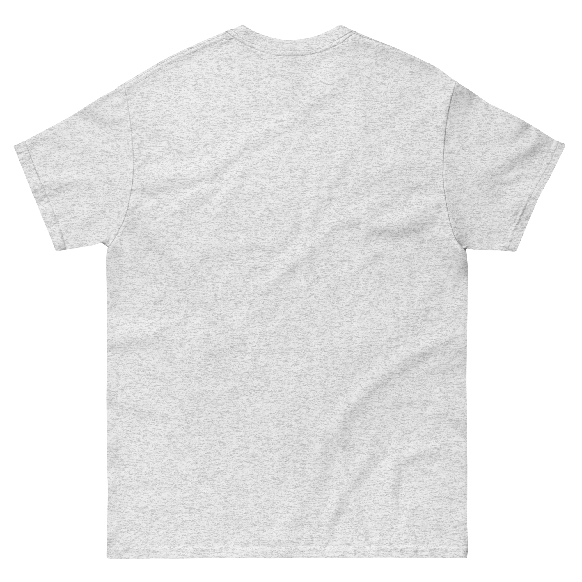 unisex-classic-tee-ash-back-66b7712de623e.png