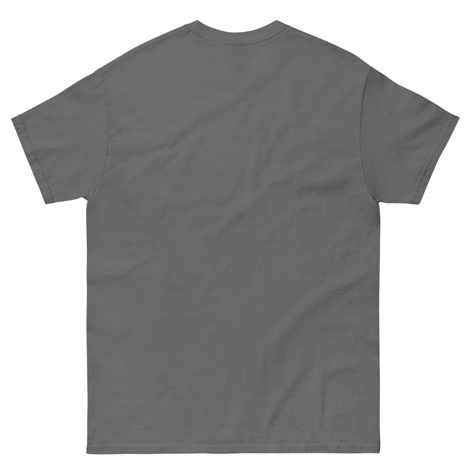 unisex-classic-tee-charcoal-back-66b773e88c6e0.png