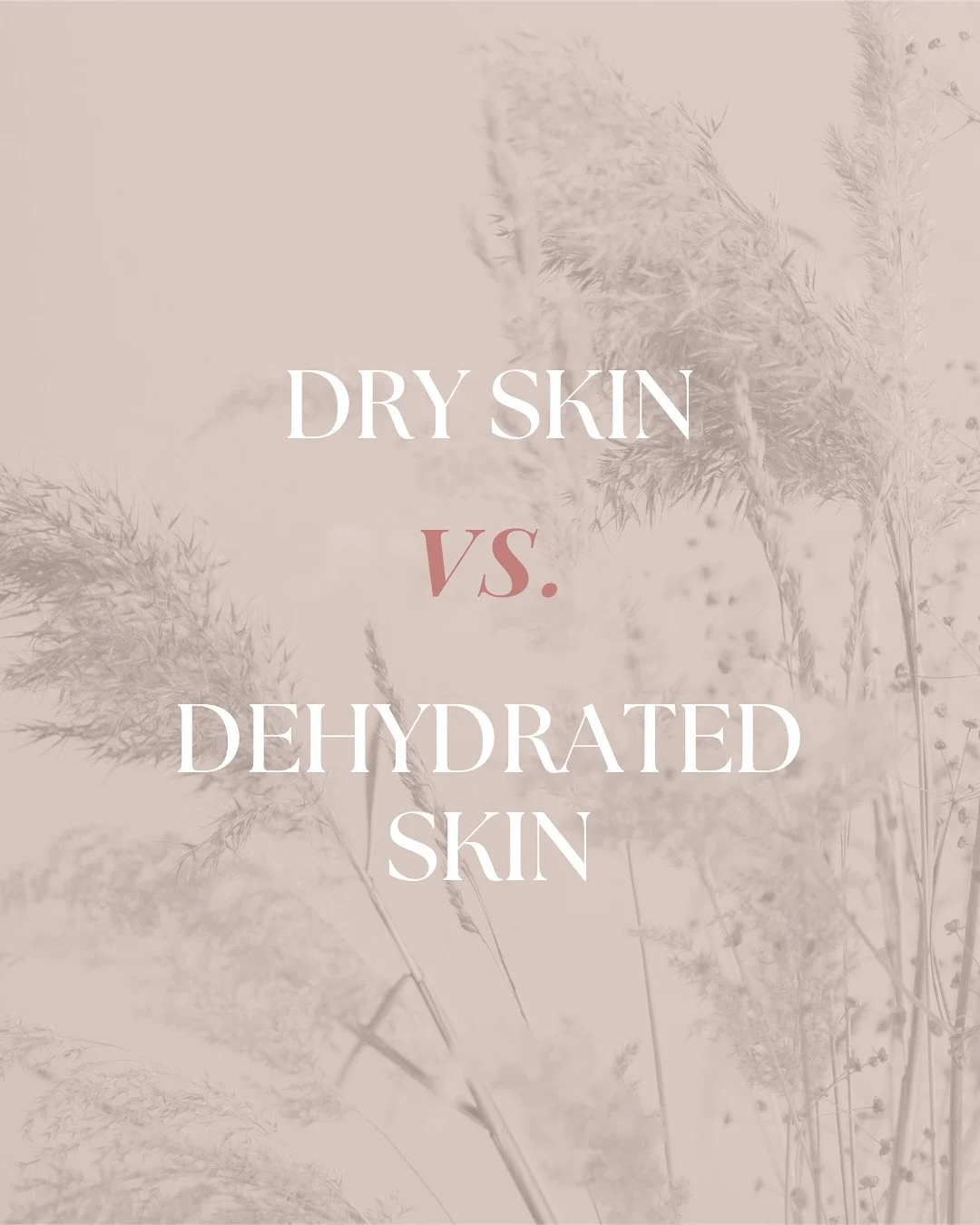 Not sure if your skin is dry or dehydrated?🔎

We can help you determine exactly what your skin needs. Here are a few of our favorite recommendations to help you seal in moisture and keep your skin barrier happy and hydrated! 💦