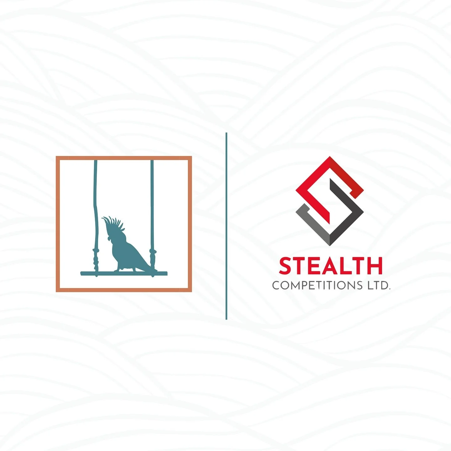 🏆 | Big Win

I&rsquo;m delighted to announce that Talking Parrot Creative has partnered with @stealthcompetitions_ltd as their official videographer, graphic designer and Facebook ads manager.

I&rsquo;ve had the good fortune of working alongside St