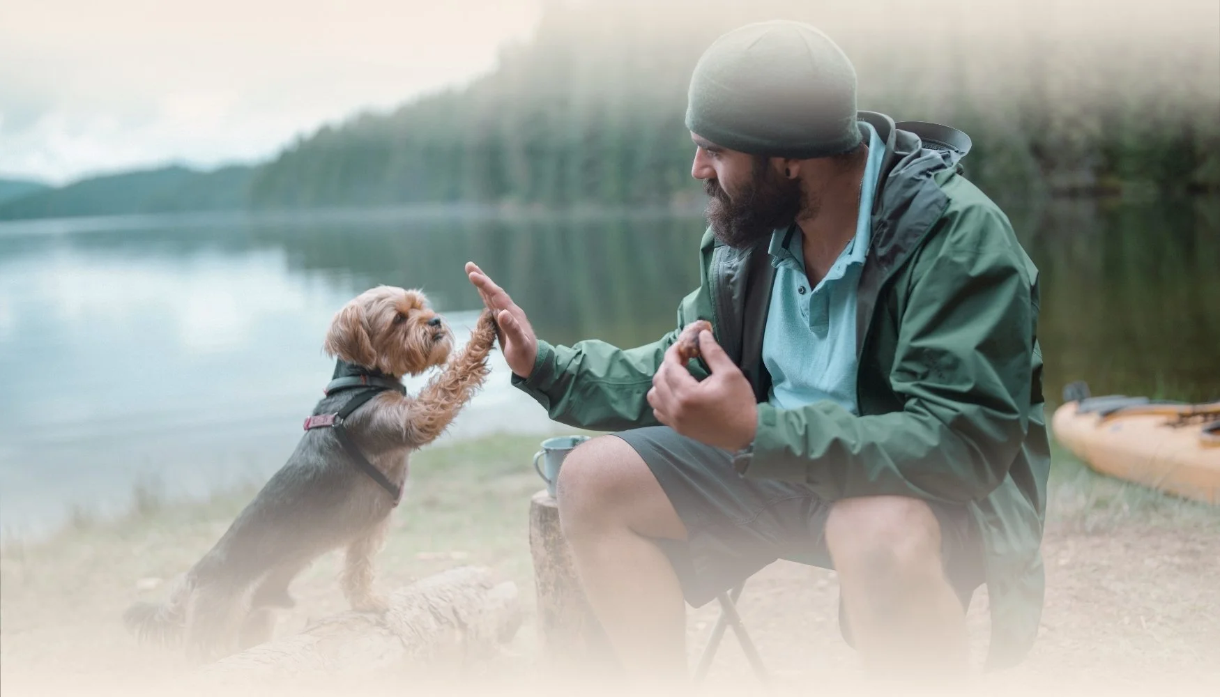 A man and a dog by a lake, high-fiving each other, with the man sitting on a log and the dog wearing a harness.