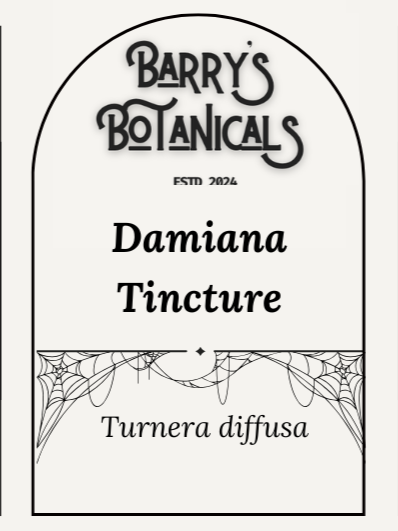 Damiana Tincture - Turnera diffusa