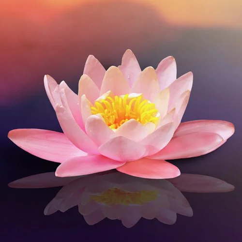 Self-Guided Silent Retreat: 5 night/6 day Weeklong or Weekend