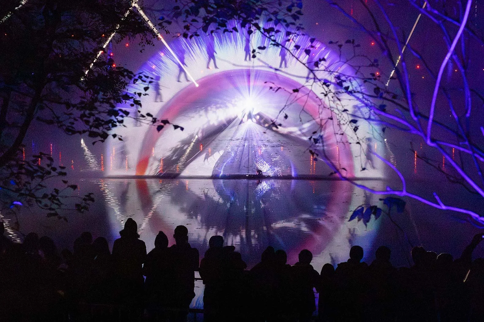 The Enchanted Forest – 2023 to 2025