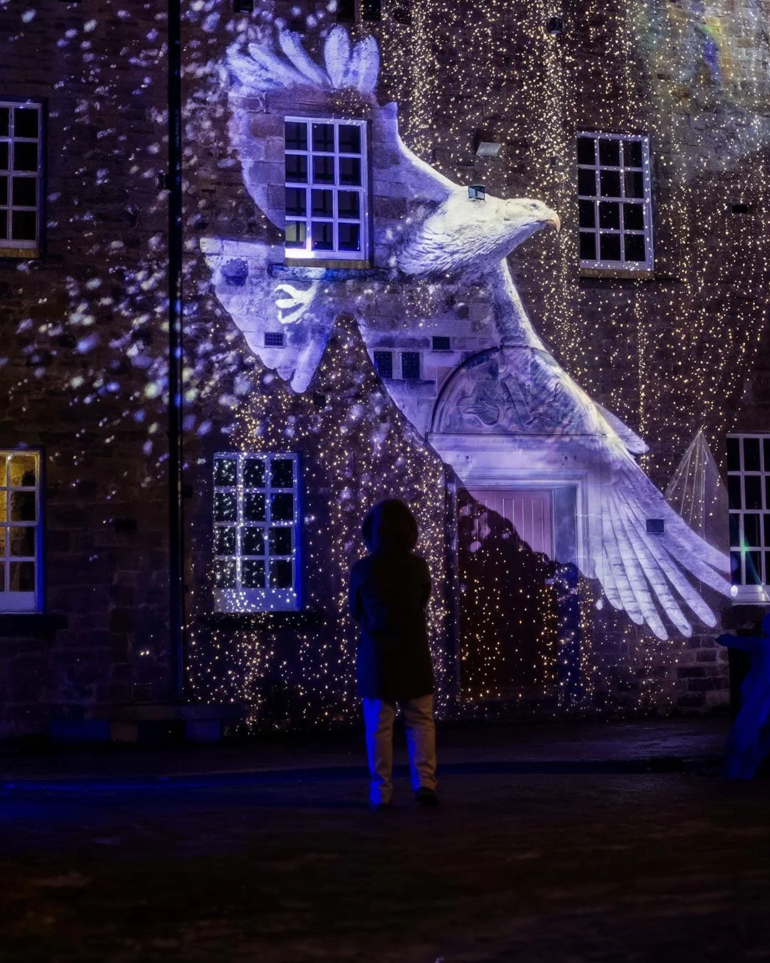 ge animated bird projected onto a building as part of a narrative projection mapping experience.