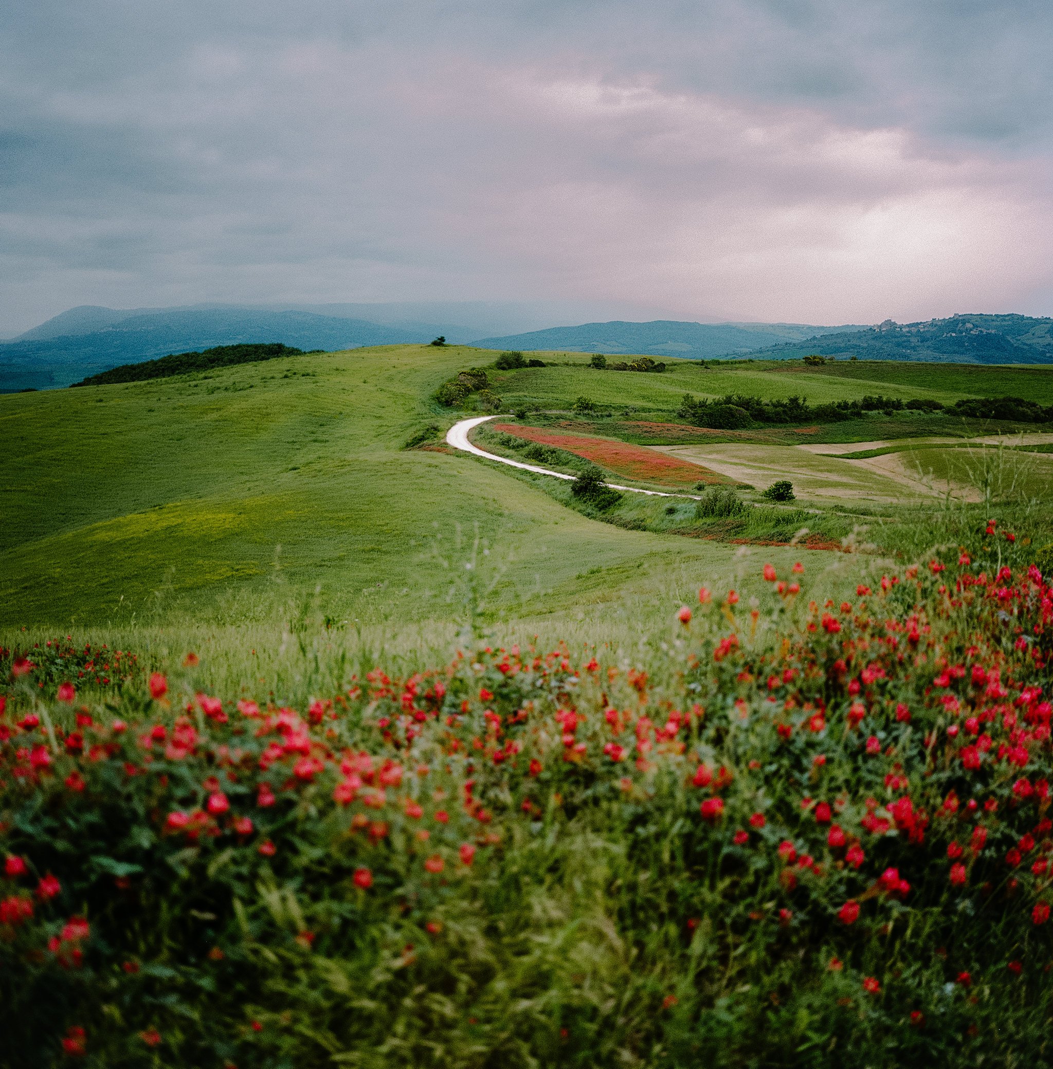 Somewhere in Tuscany
