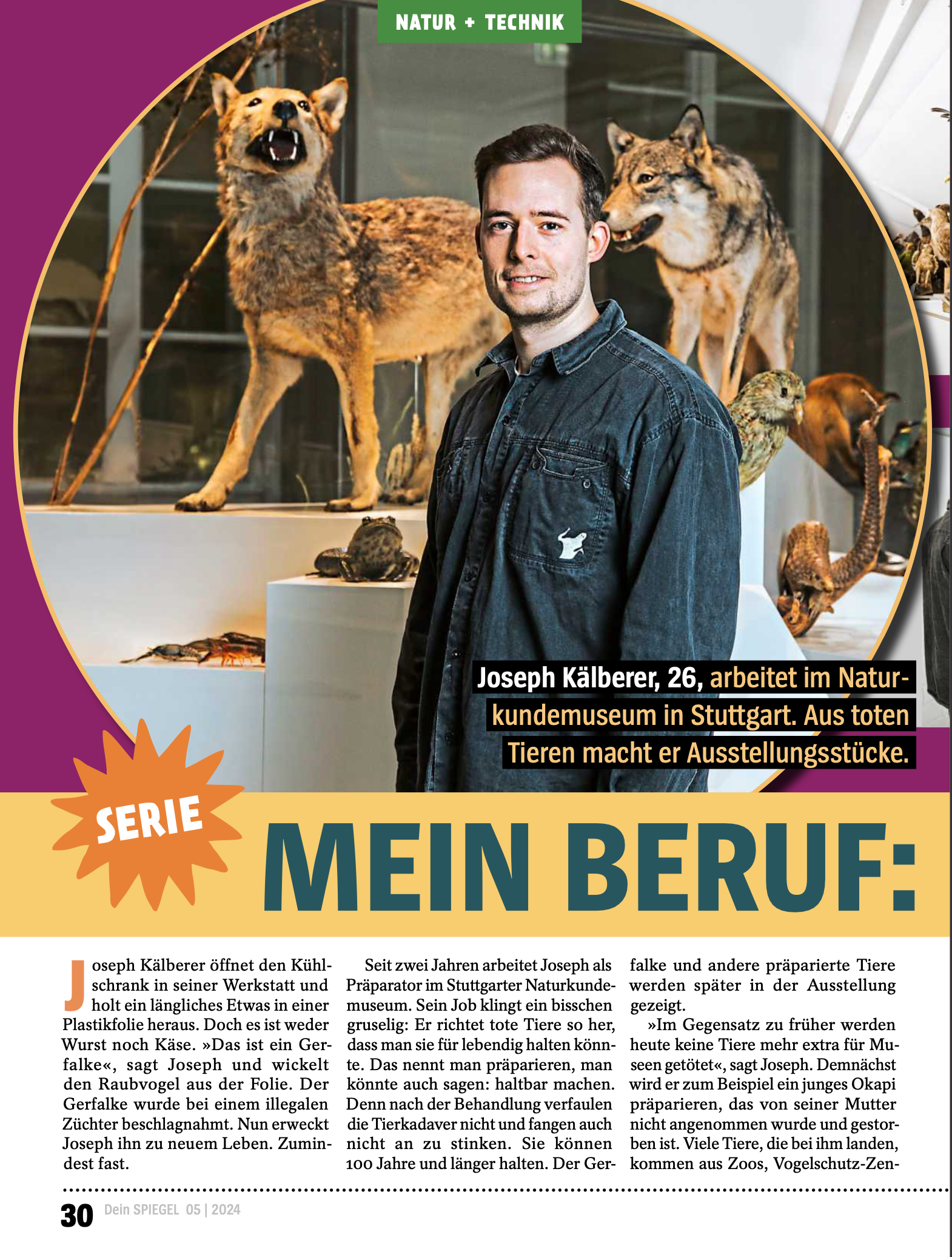 DEIN SPIEGEL (Print)