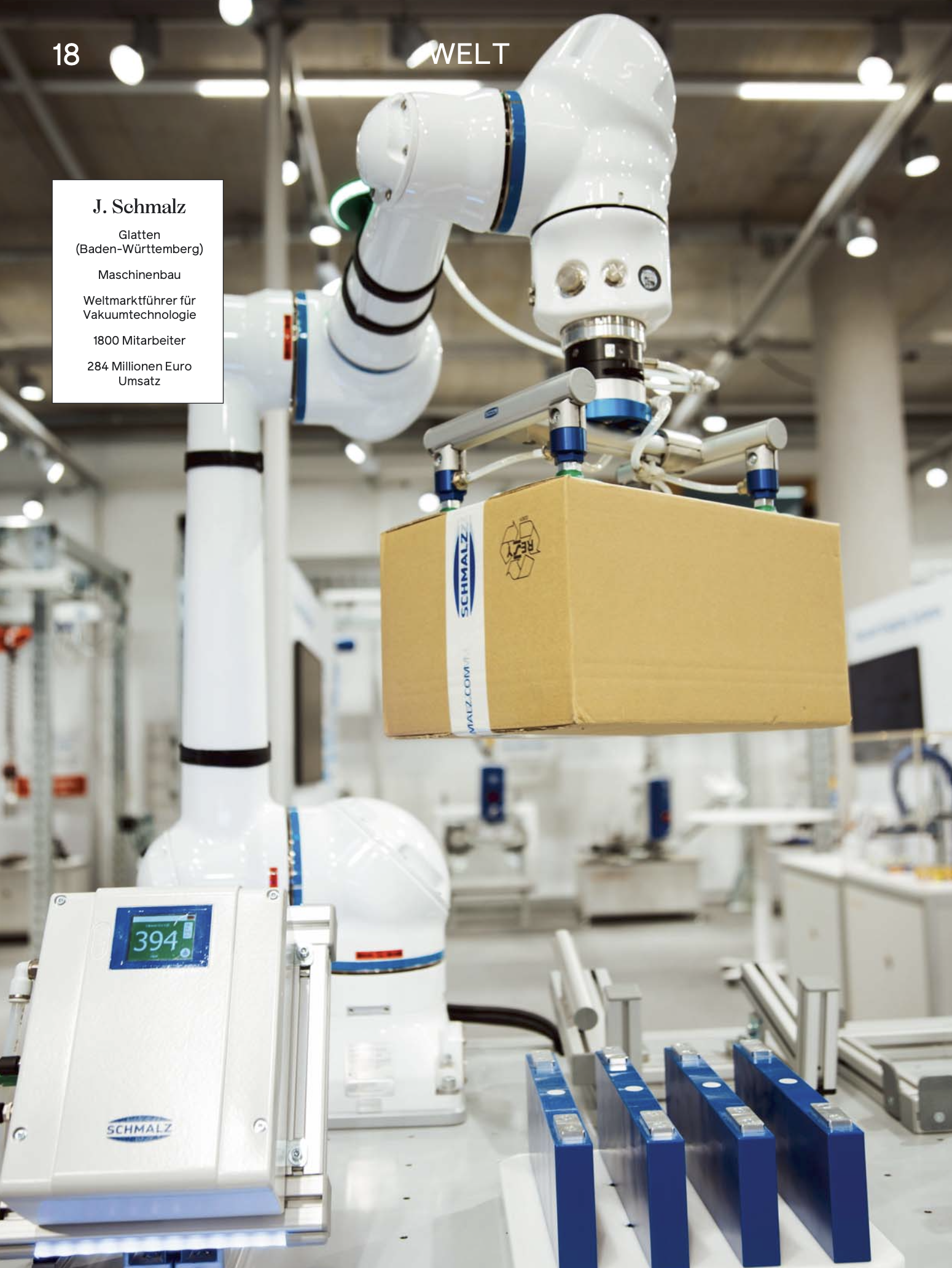 WIRTSCHAFTS - WOCHE  (Print)