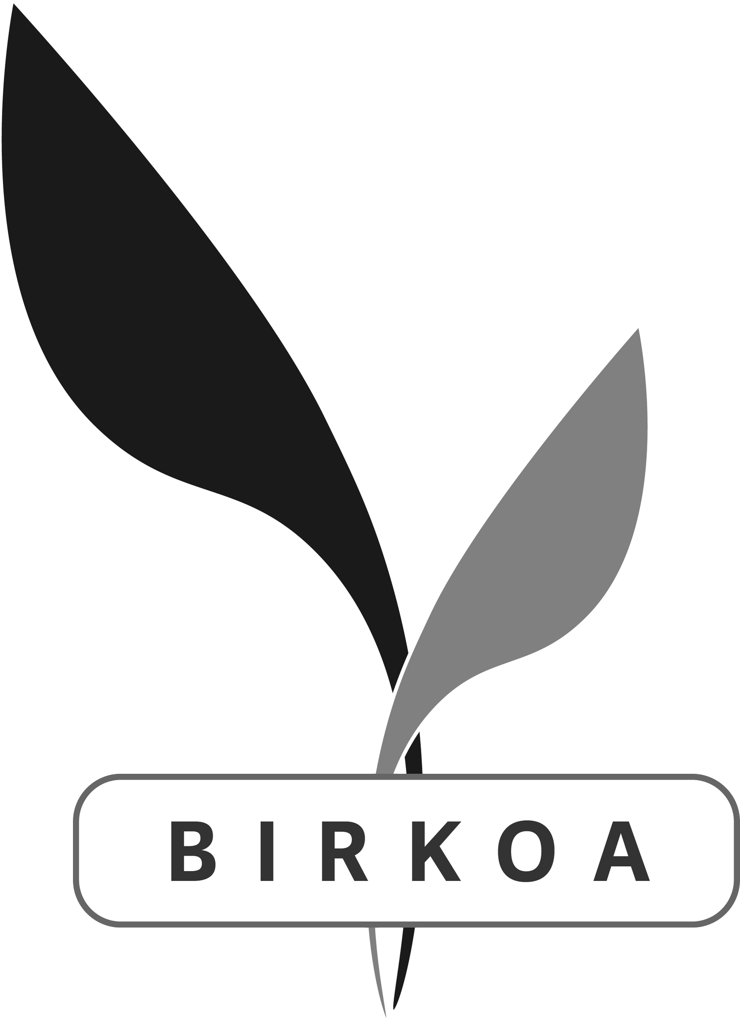 Birkoa Capital Management, LLC