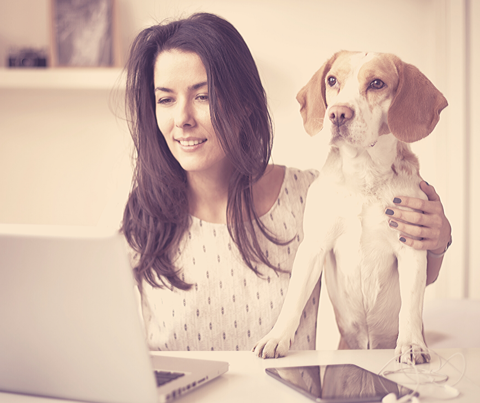 Union Village Provides the Perfect Place to Work from Home
