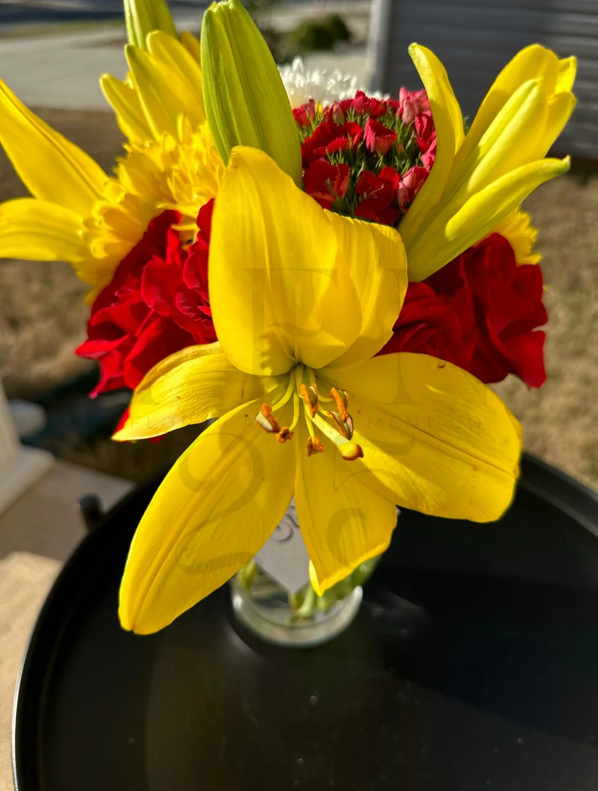 Close-up of a vibrant yellow lily with red and pink flowers in the background.