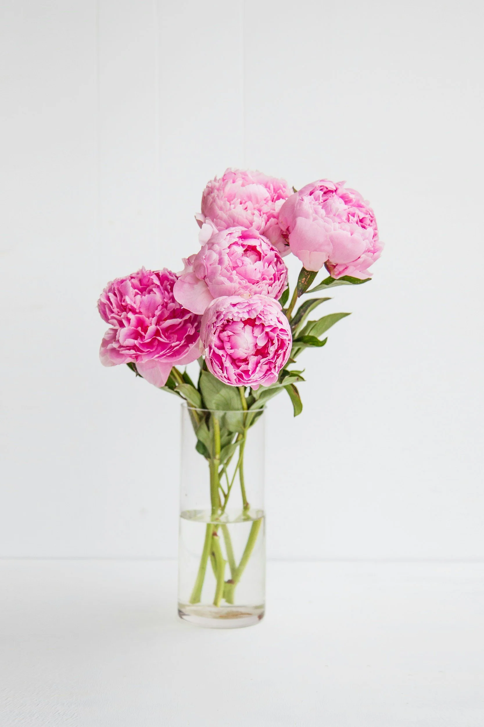 A clear glass vase with pink peony flowers on a white surface with a white background.