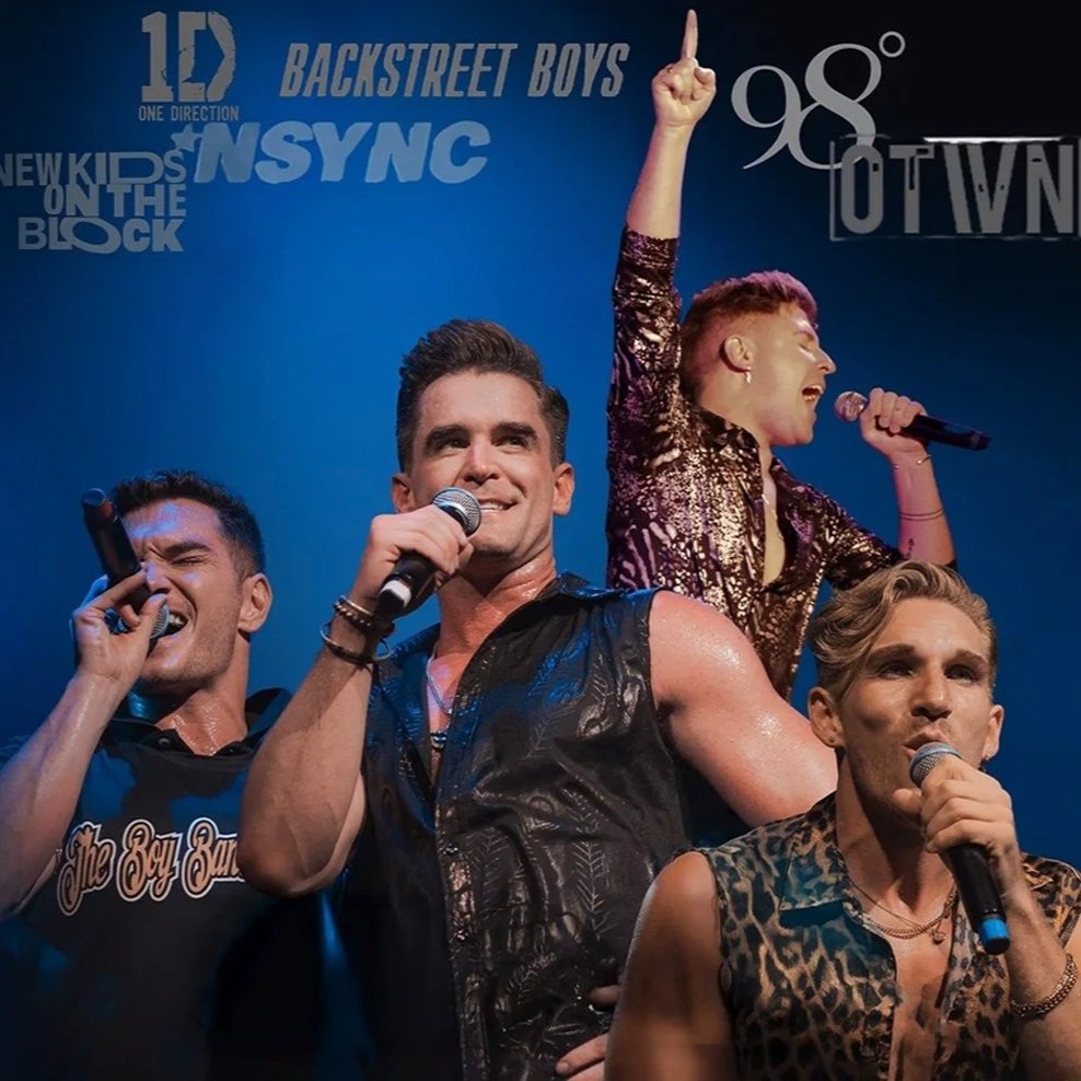 The Boy Band Project