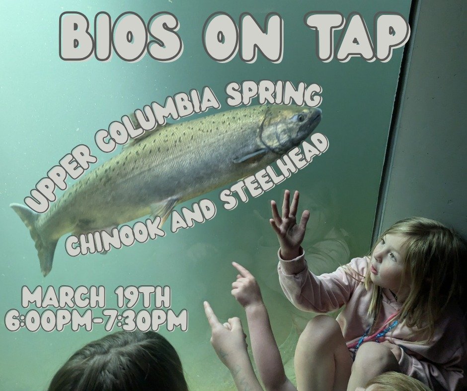 Bios on Tap: Upper Columbia Spring Chinook and Steelhead