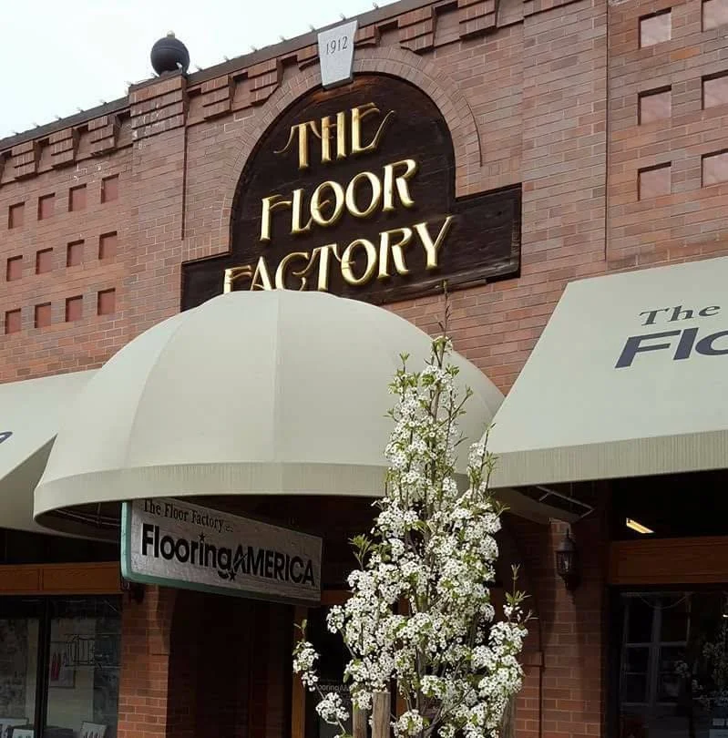 Celebrating 50 Years of The Floor Factory