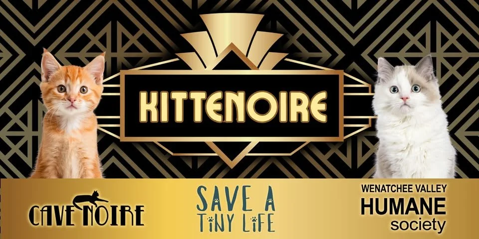 Kittenoire