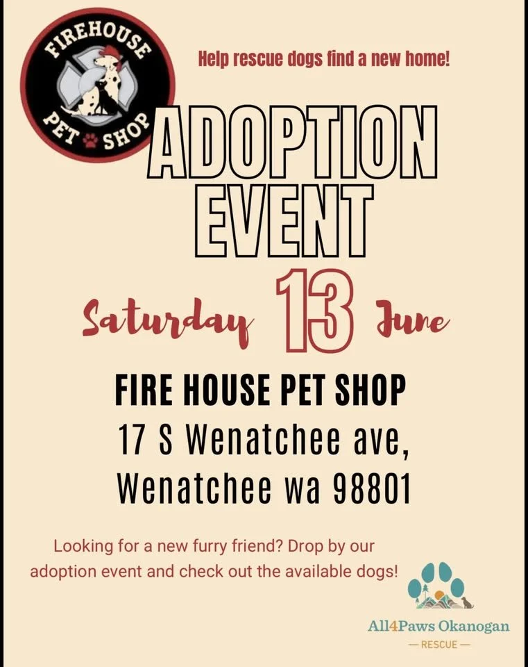 Fire House Pet Shop Adoption Event