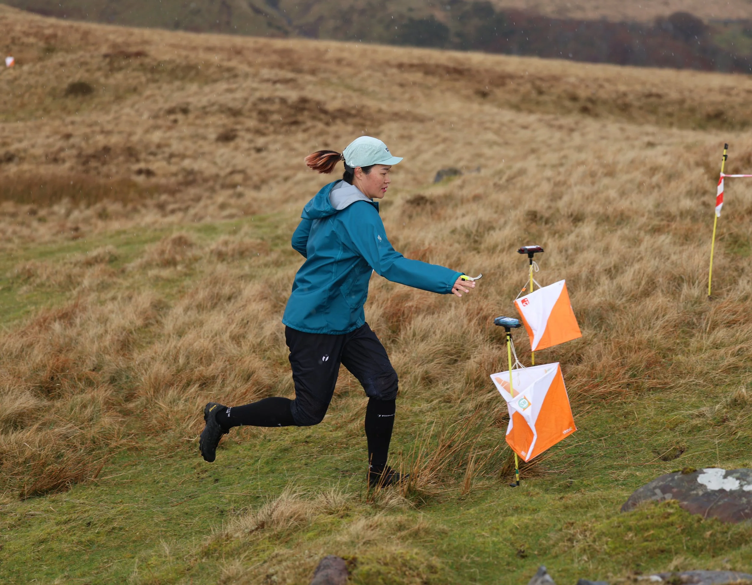 Warlies Park (Local)