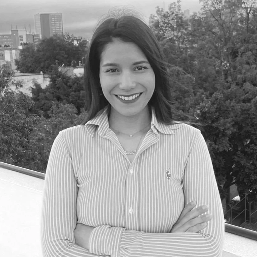 Imagen de WhatsApp 2024-05-09 a las 16.05.28_22282fac.jpg