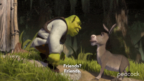 Donkey and Shrek gif