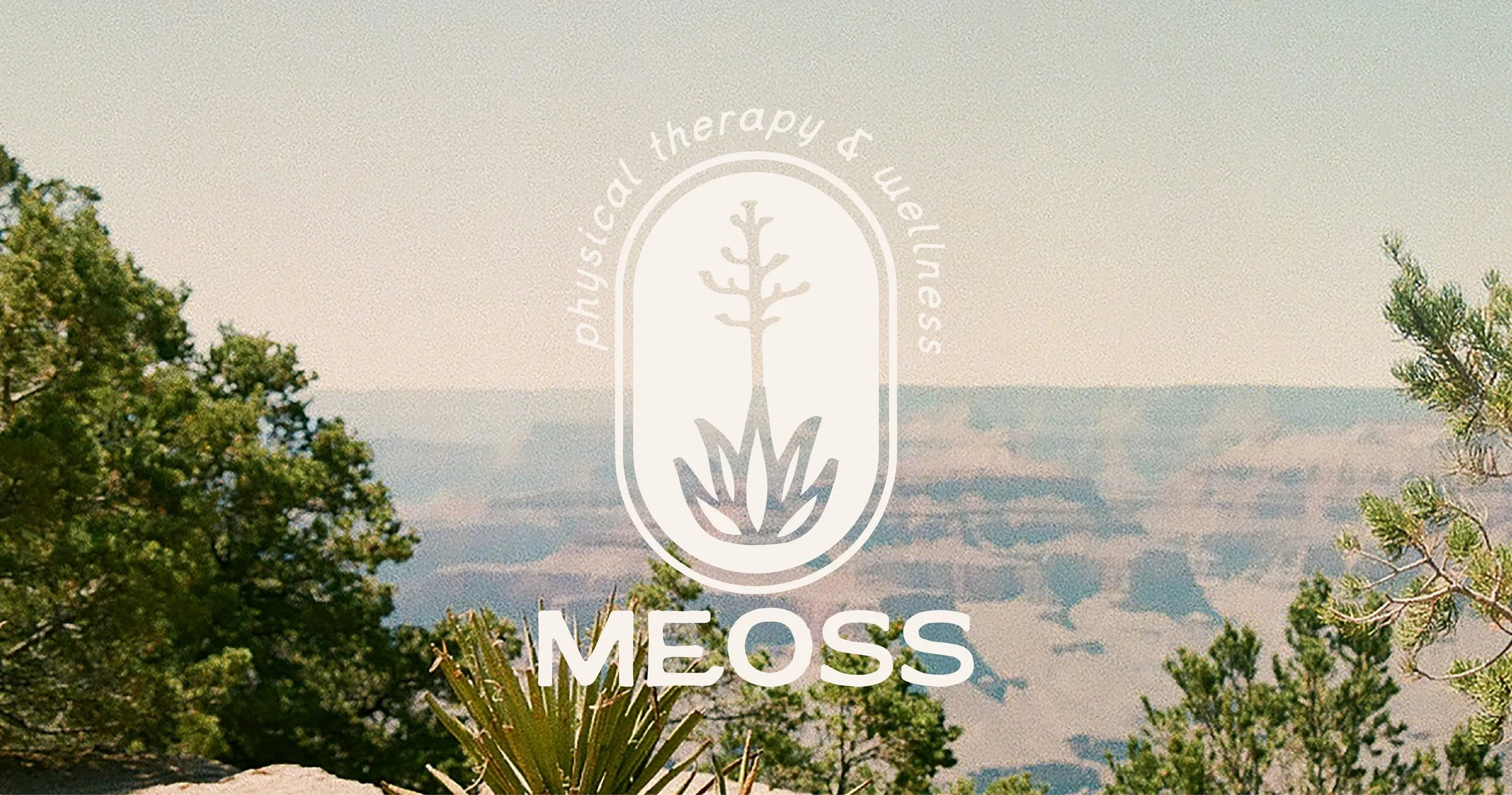 meoss primary logo with link to portfolio page