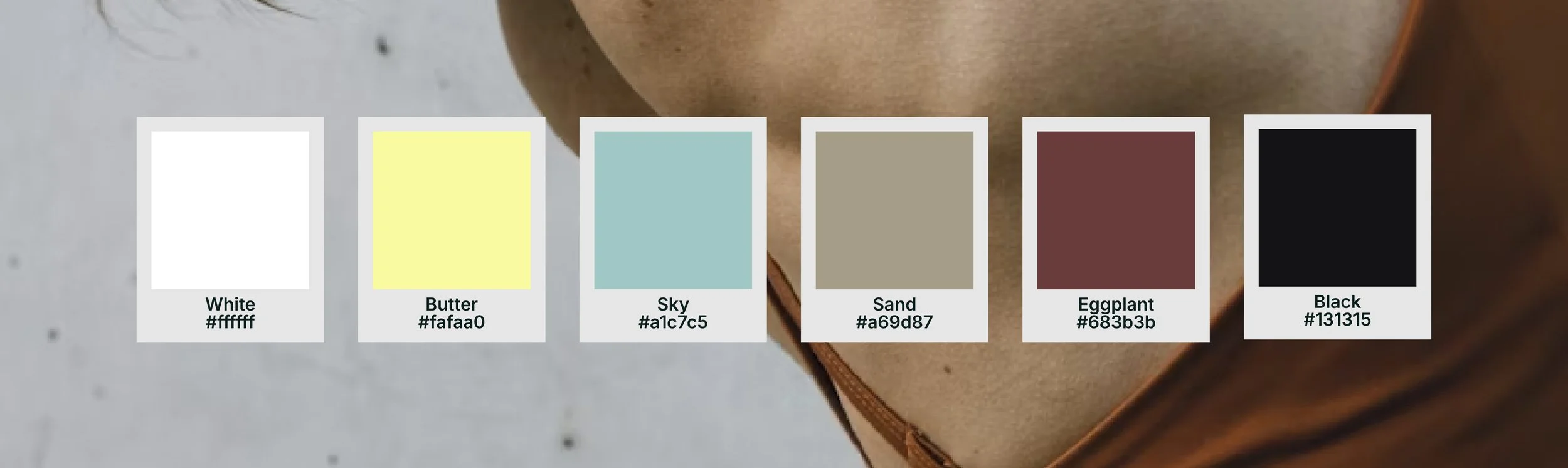 bold color palette for sports performance gym