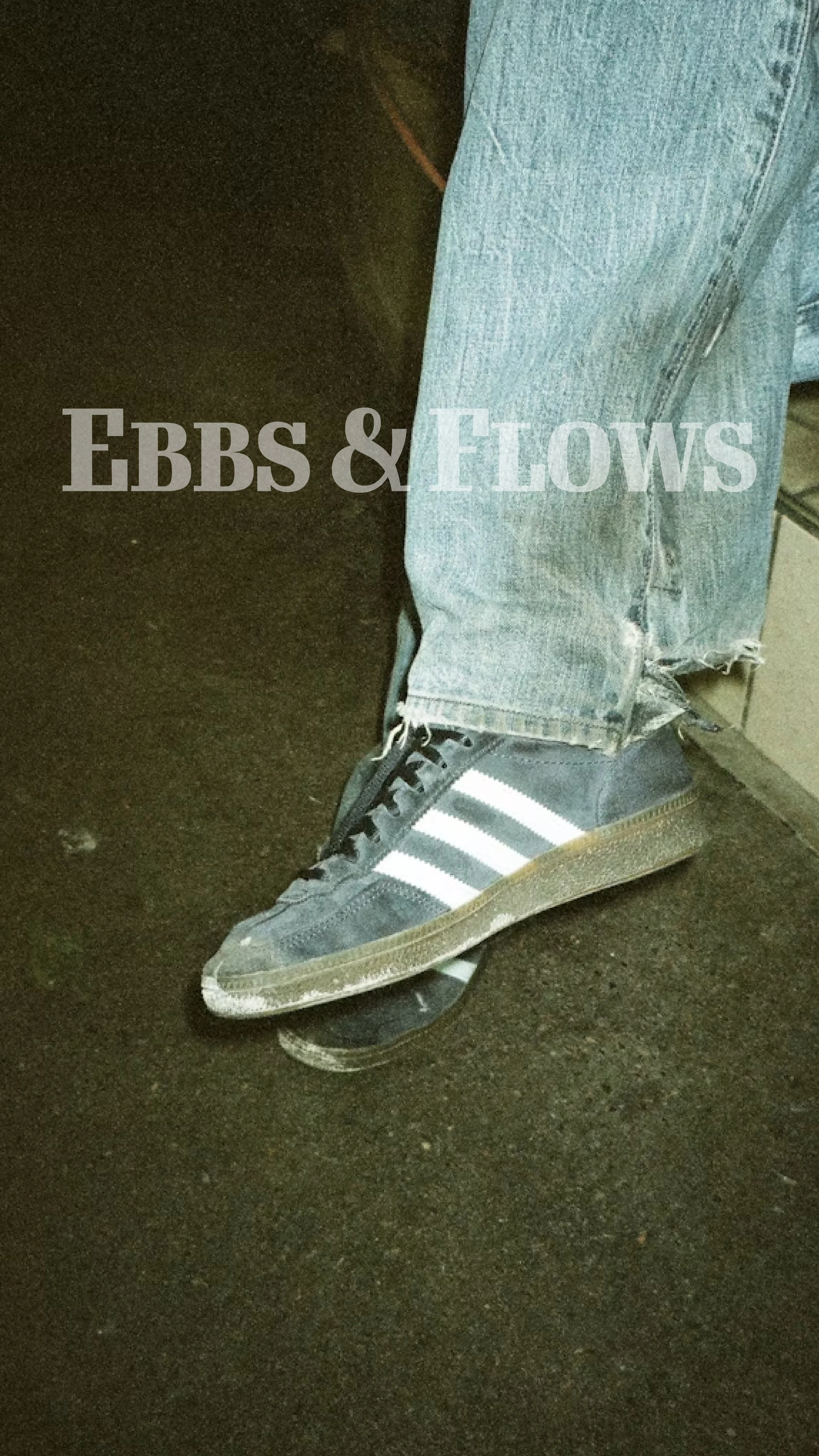 ebbs and flows secondary logo over adidas sneakers