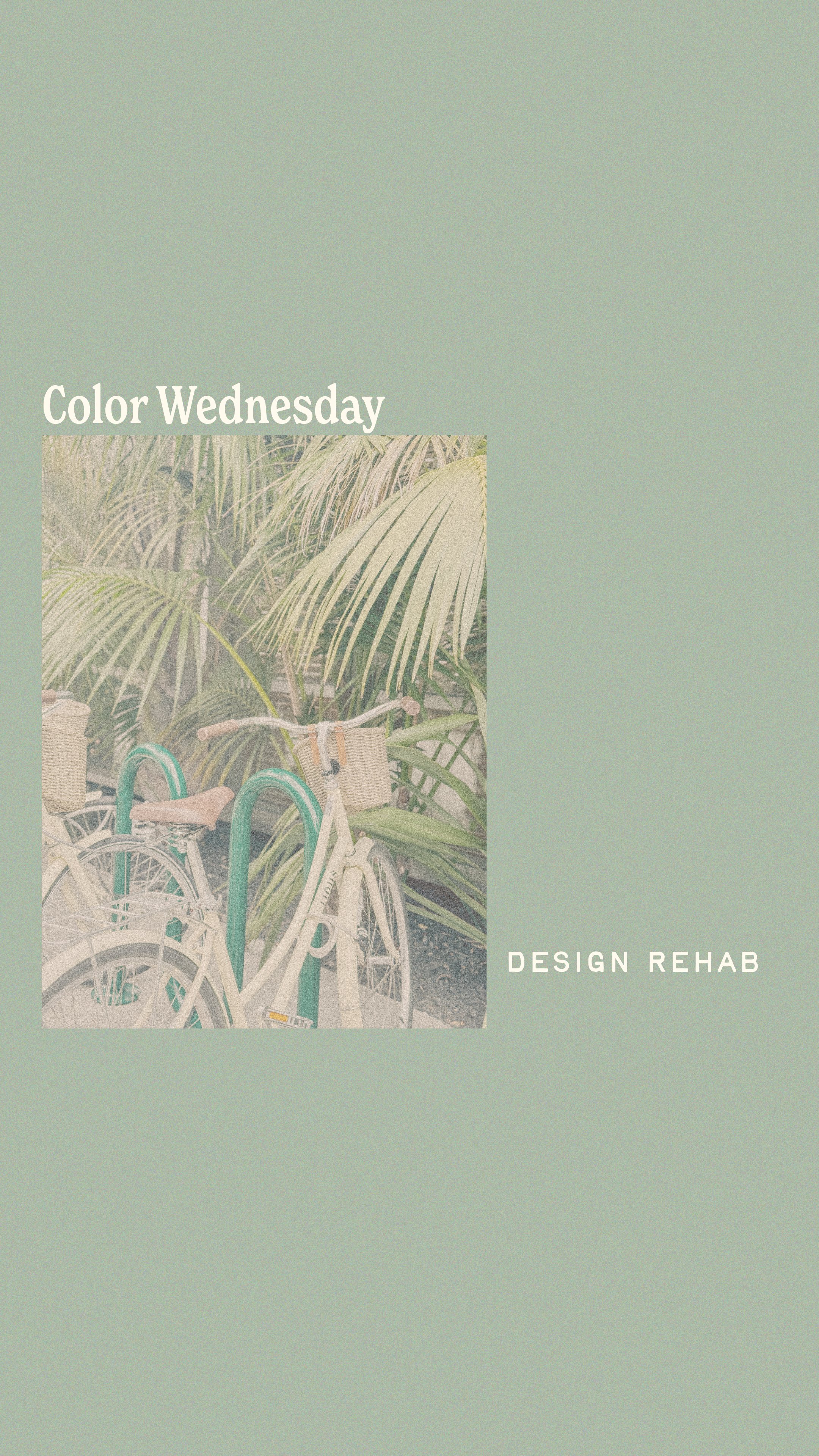 color wednesday green@2x-100.jpg
