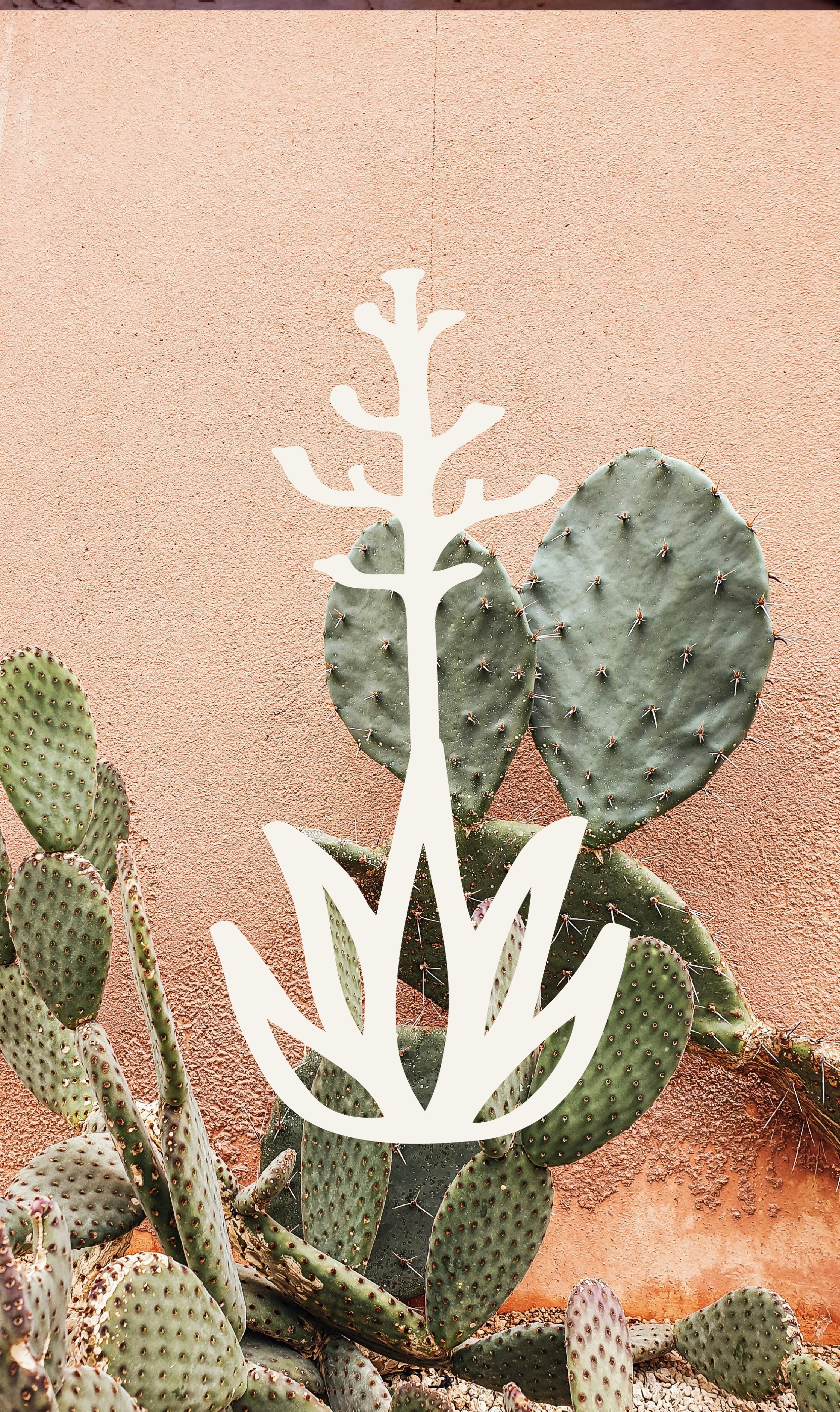 agave death bloom logo over cactus background