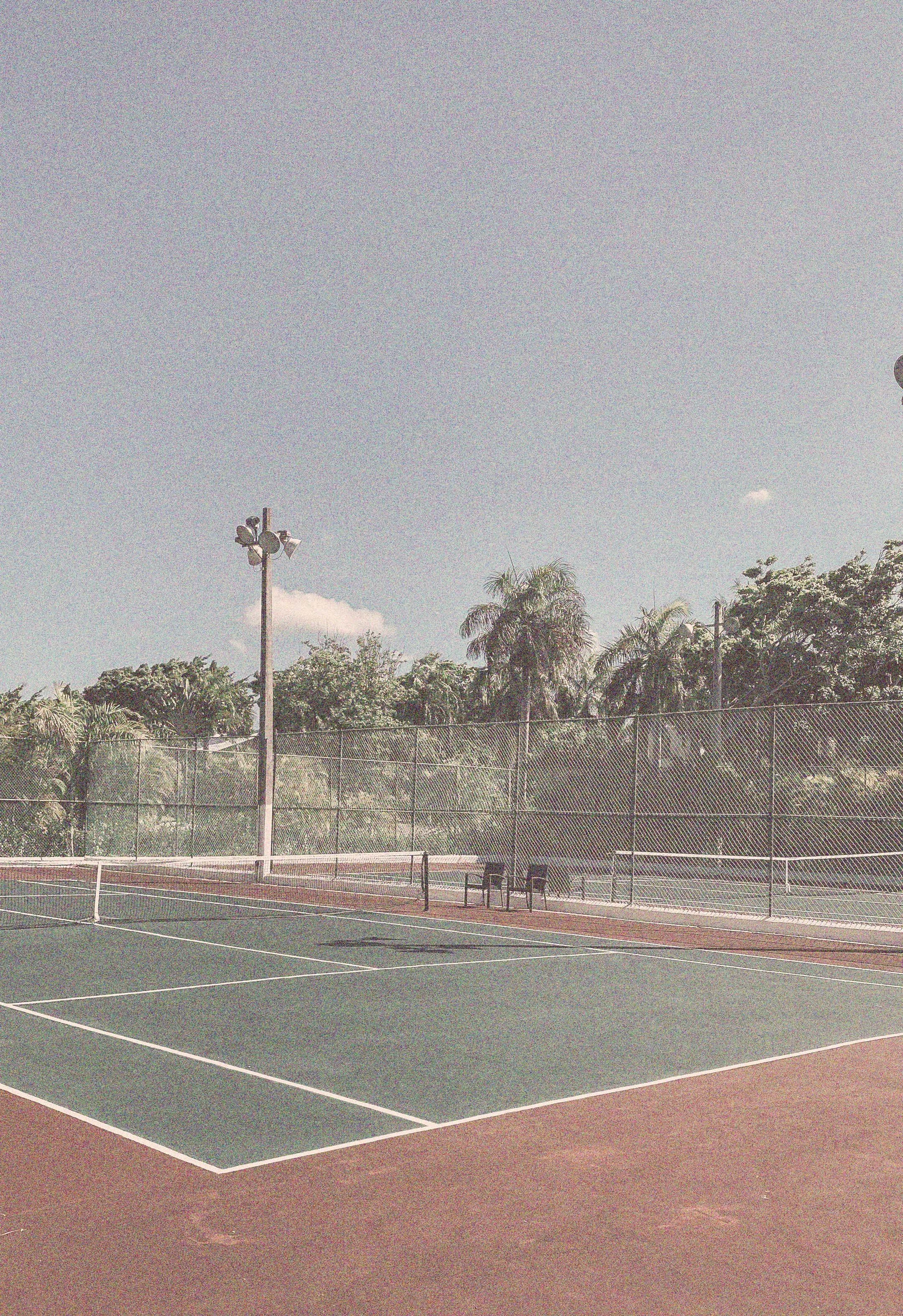 red and green tennis court with chairs and palm trees in the background