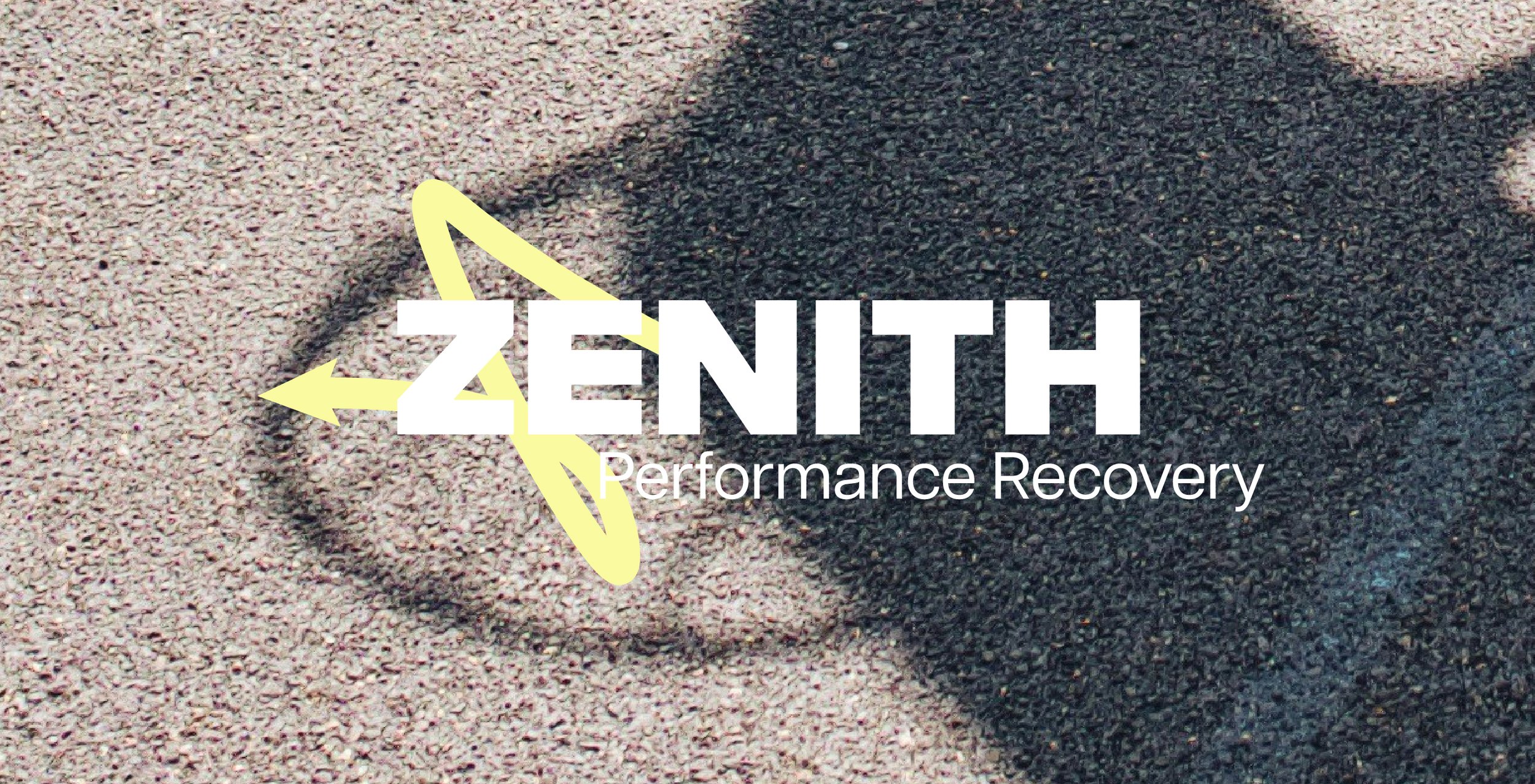 zenith pro logo variation for performance recovery