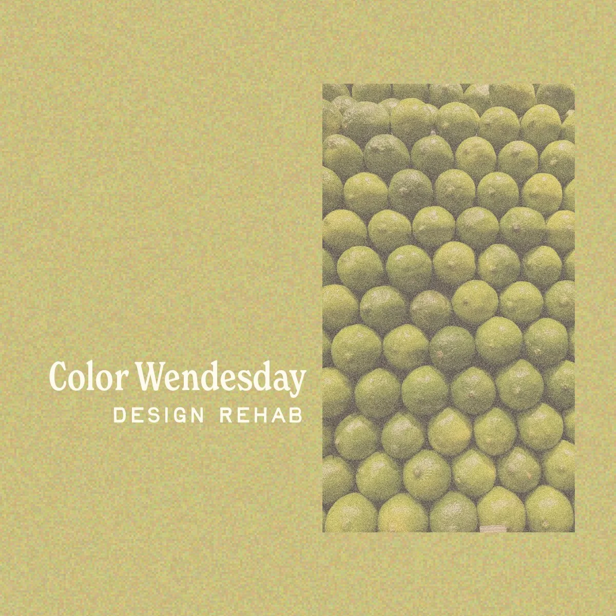 color wednesday IG post