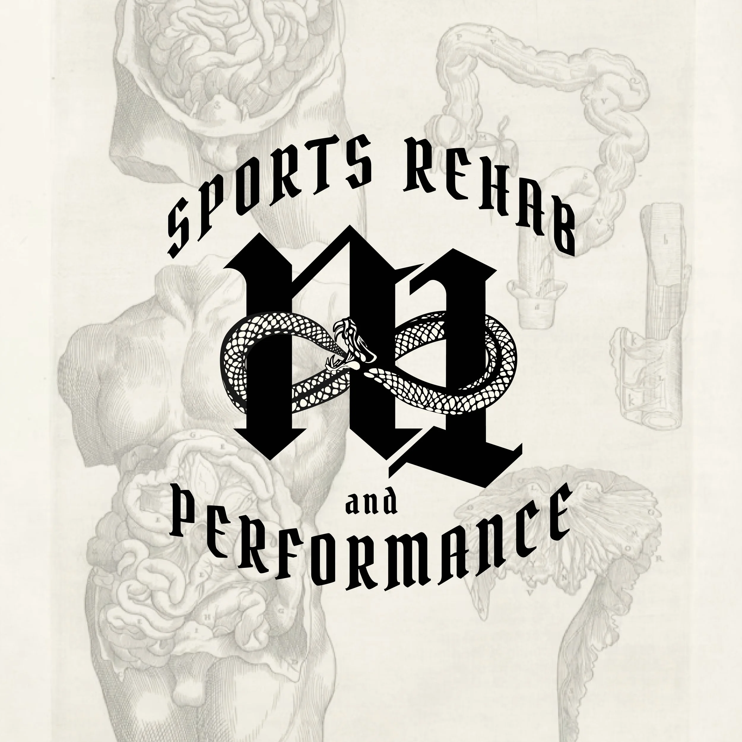 n1 sports rehab and performance logo