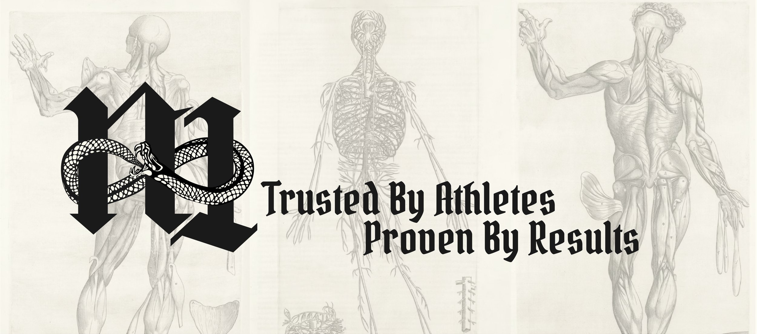 n1 logo and slogan against vintage anatomy art