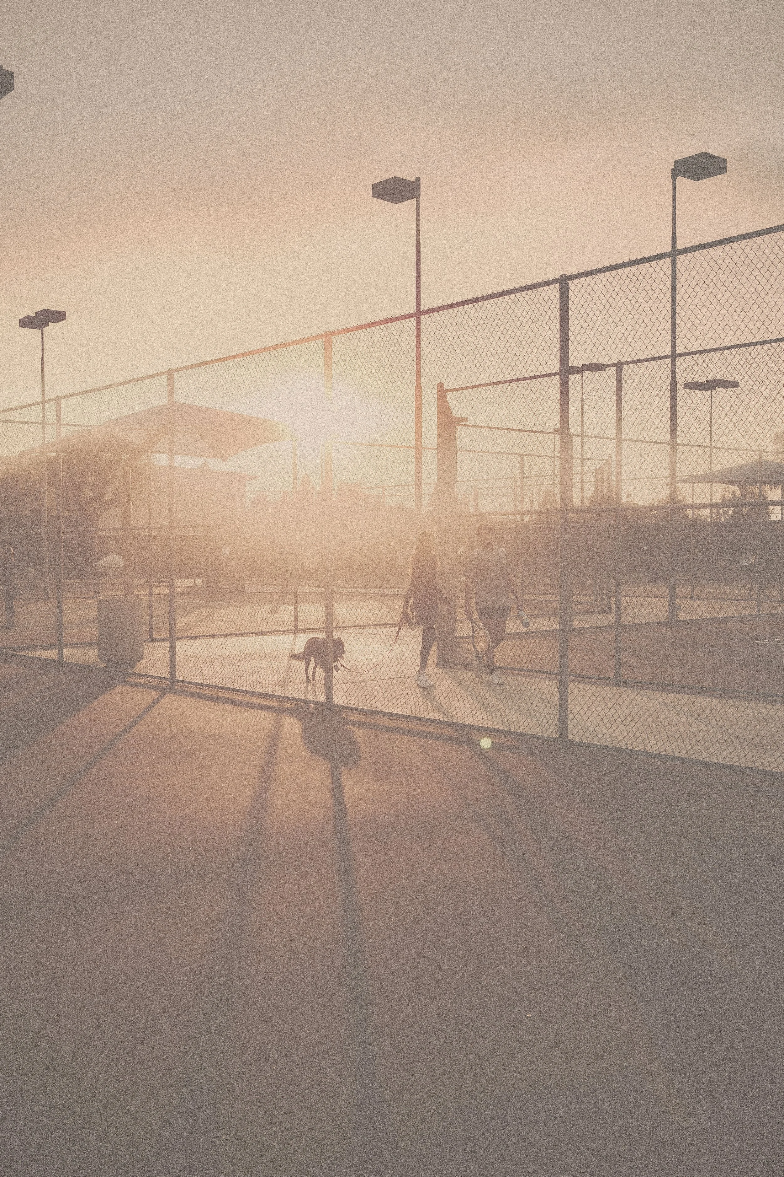 Silhouettes of tennis court during sunset, with chain-link fence and light poles in the background.