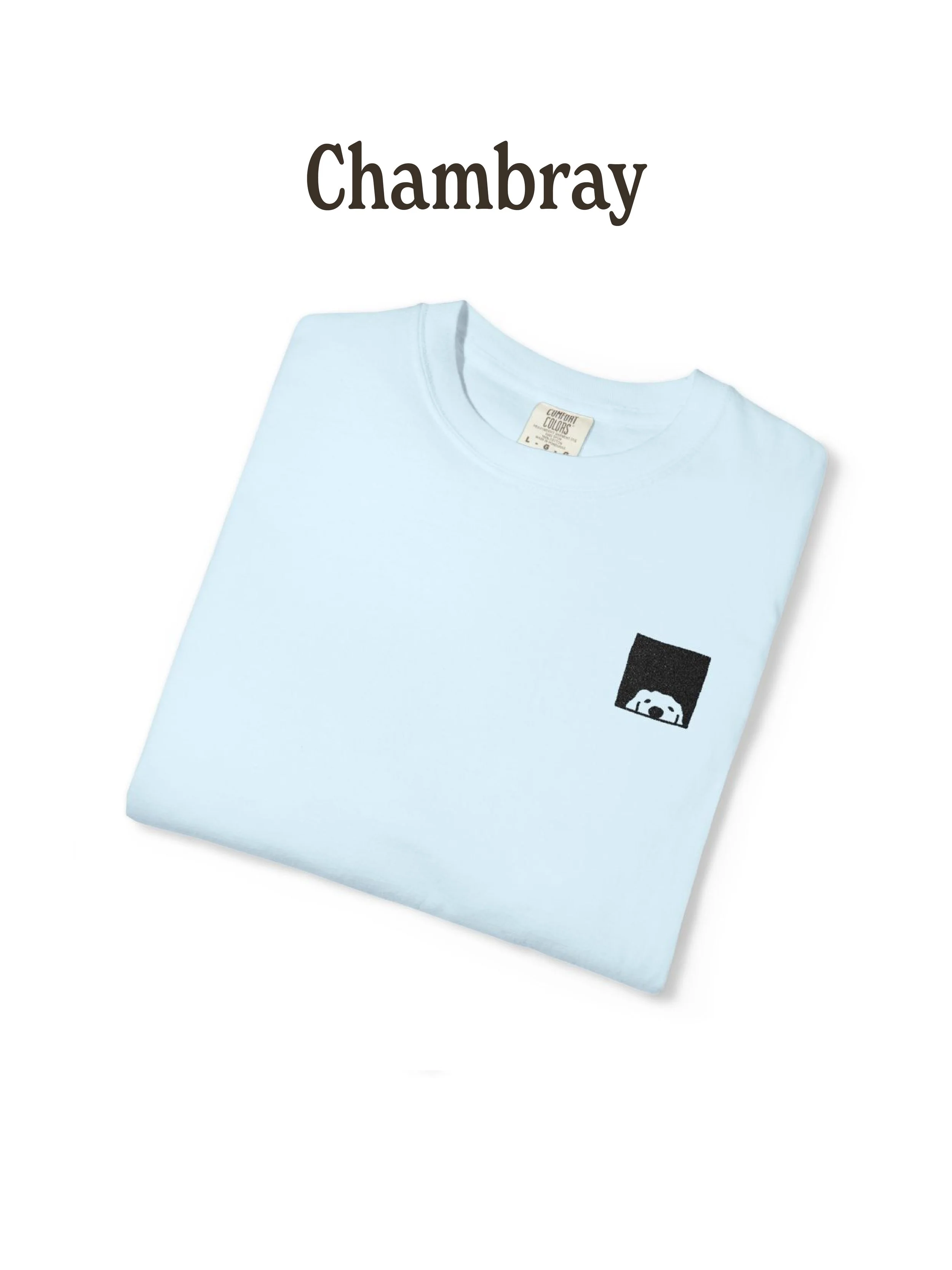 chambray shirt@4x-100.jpg