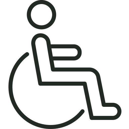 Icon of a person in a wheelchair