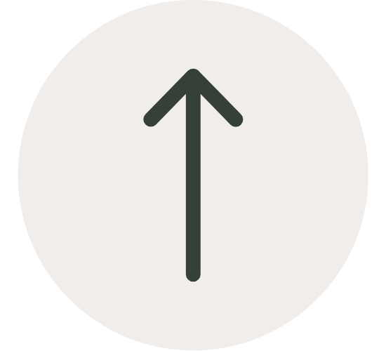 Scroll To Top