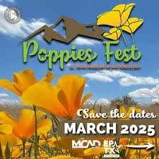 SANGRE GITANA TRIO (live) @ The Poppies Fest