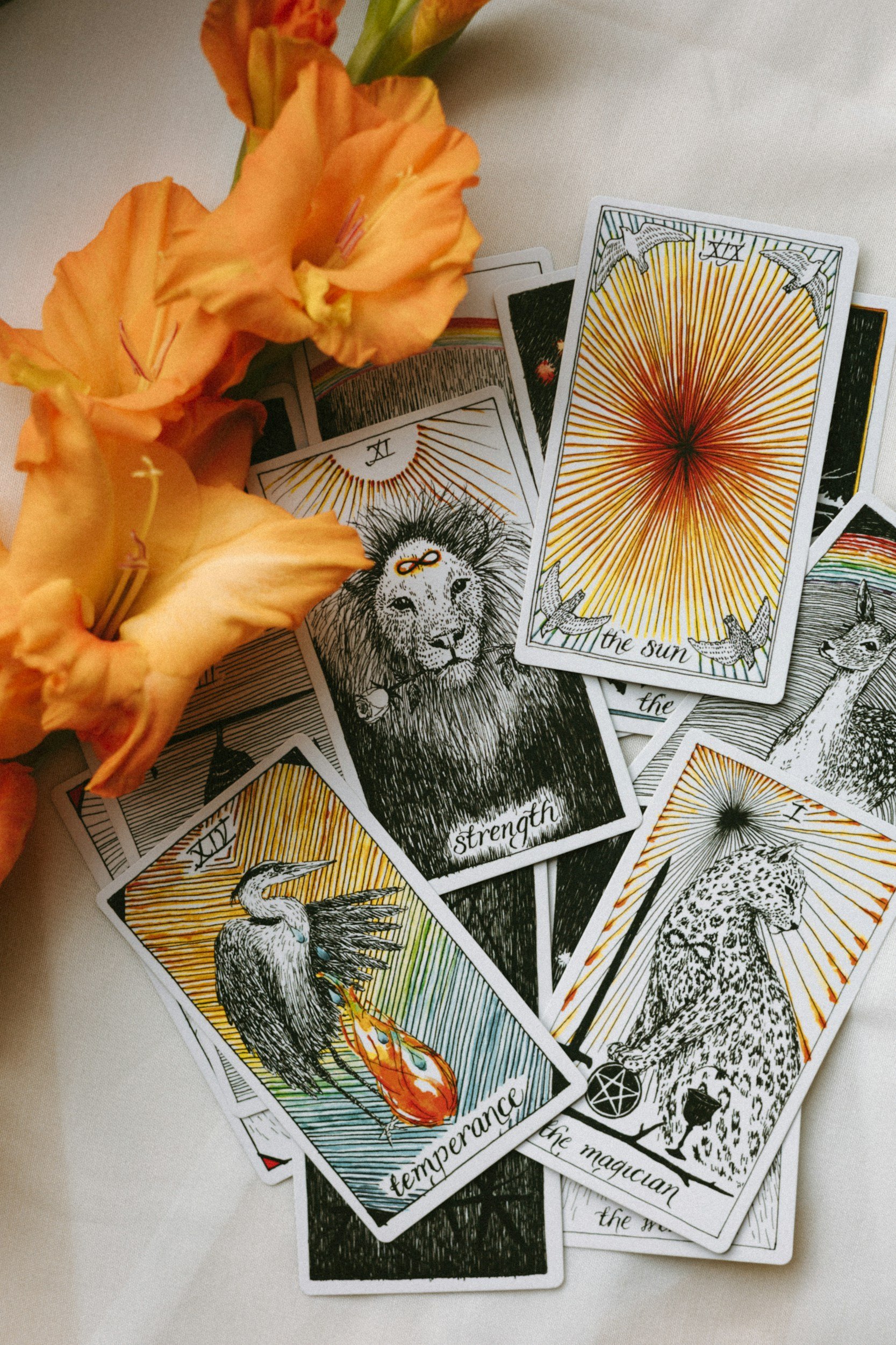 Tarot cards with illustrations and words such as 'strength,' 'the sun,' 'temperance,' and 'the magician' scattered on a white surface, accompanied by peach-colored flowers.