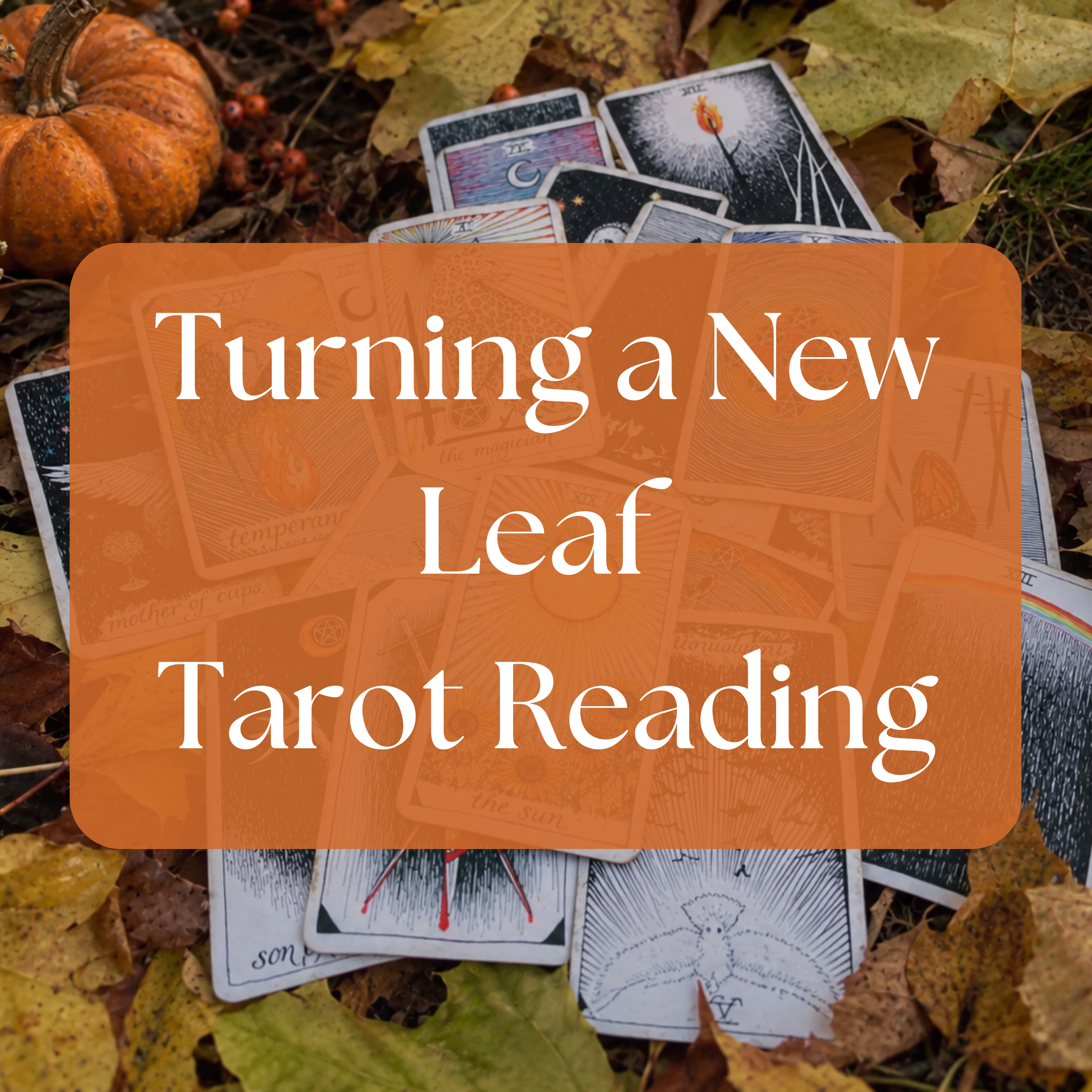 Turning a New Leaf *Autumn Reading*