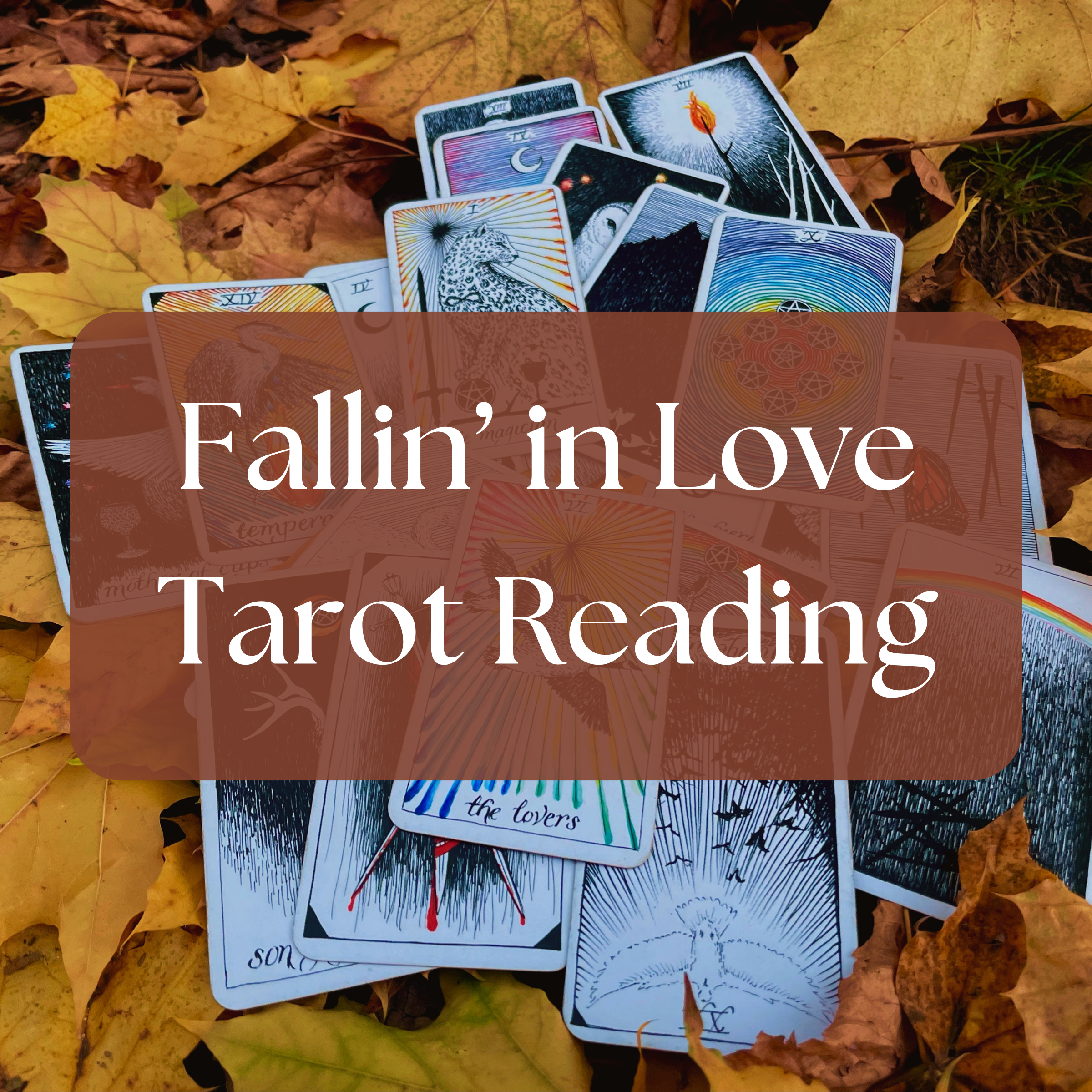 Fallin' in Love *Autumn Love Reading*