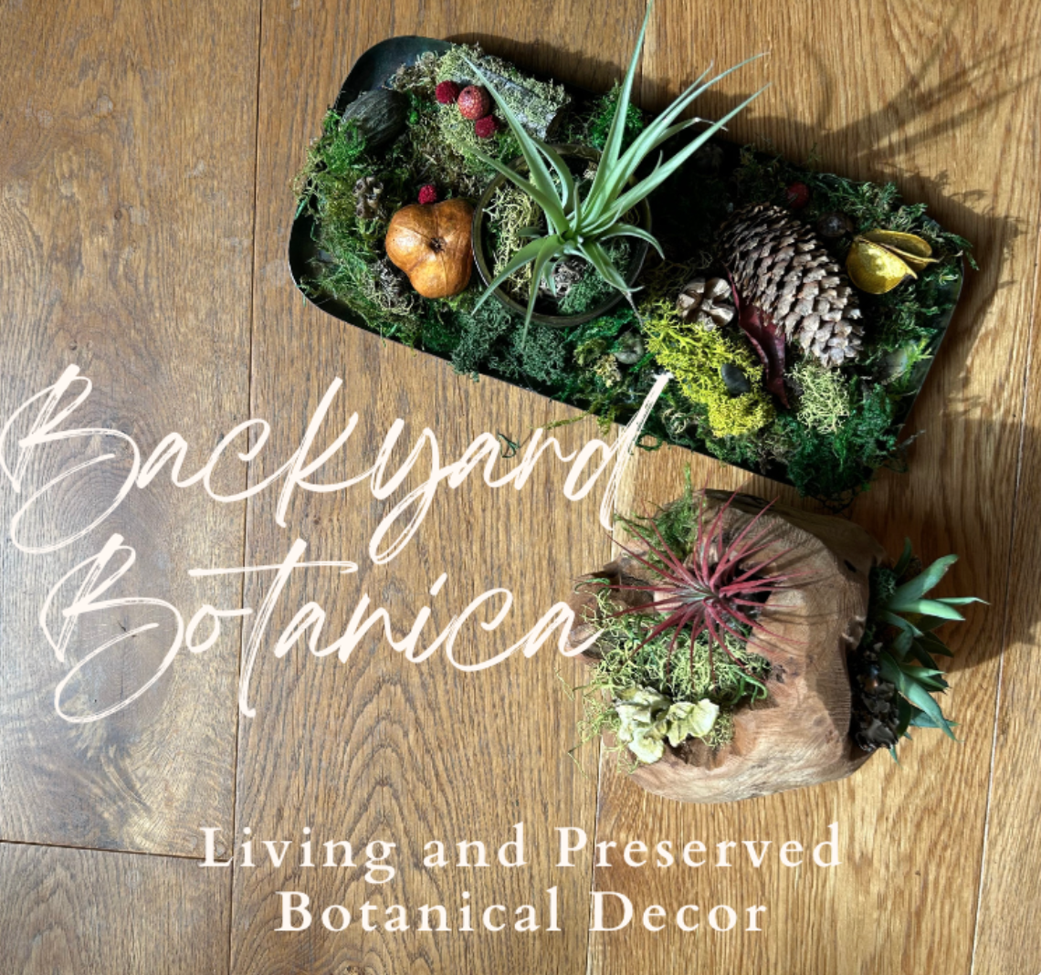 Screenshot 2024-03-07 at 1.31.25 PM.png