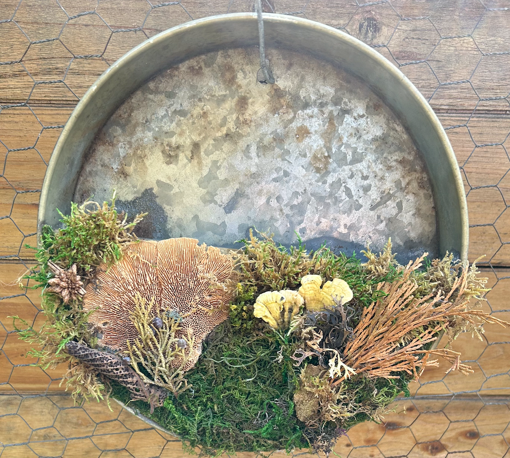 Screenshot 2024-03-07 at 1.24.46 PM.png