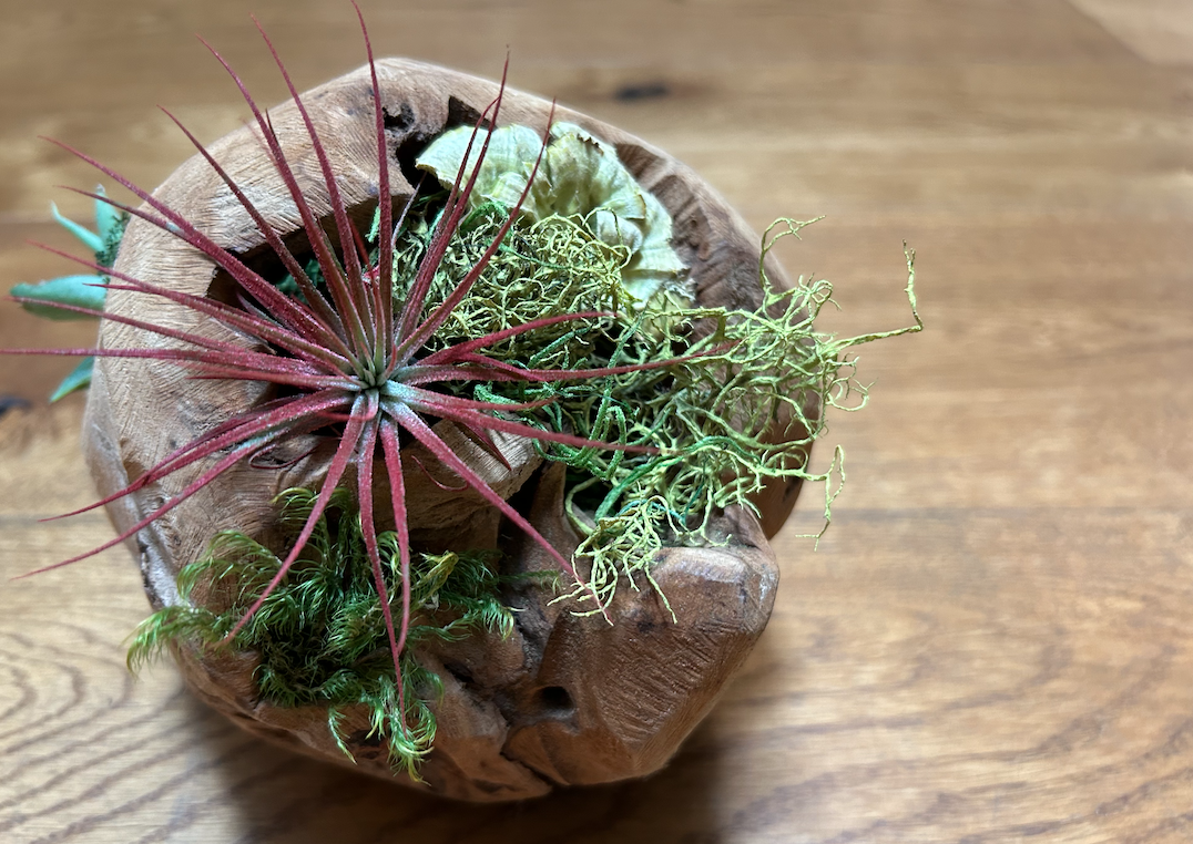 Screenshot 2024-03-07 at 1.24.05 PM.png