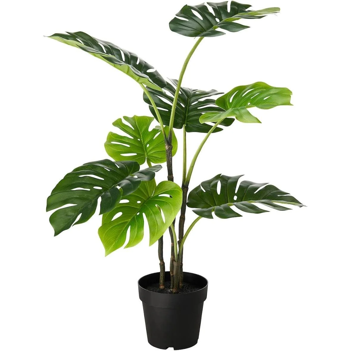 Faux Monstera
