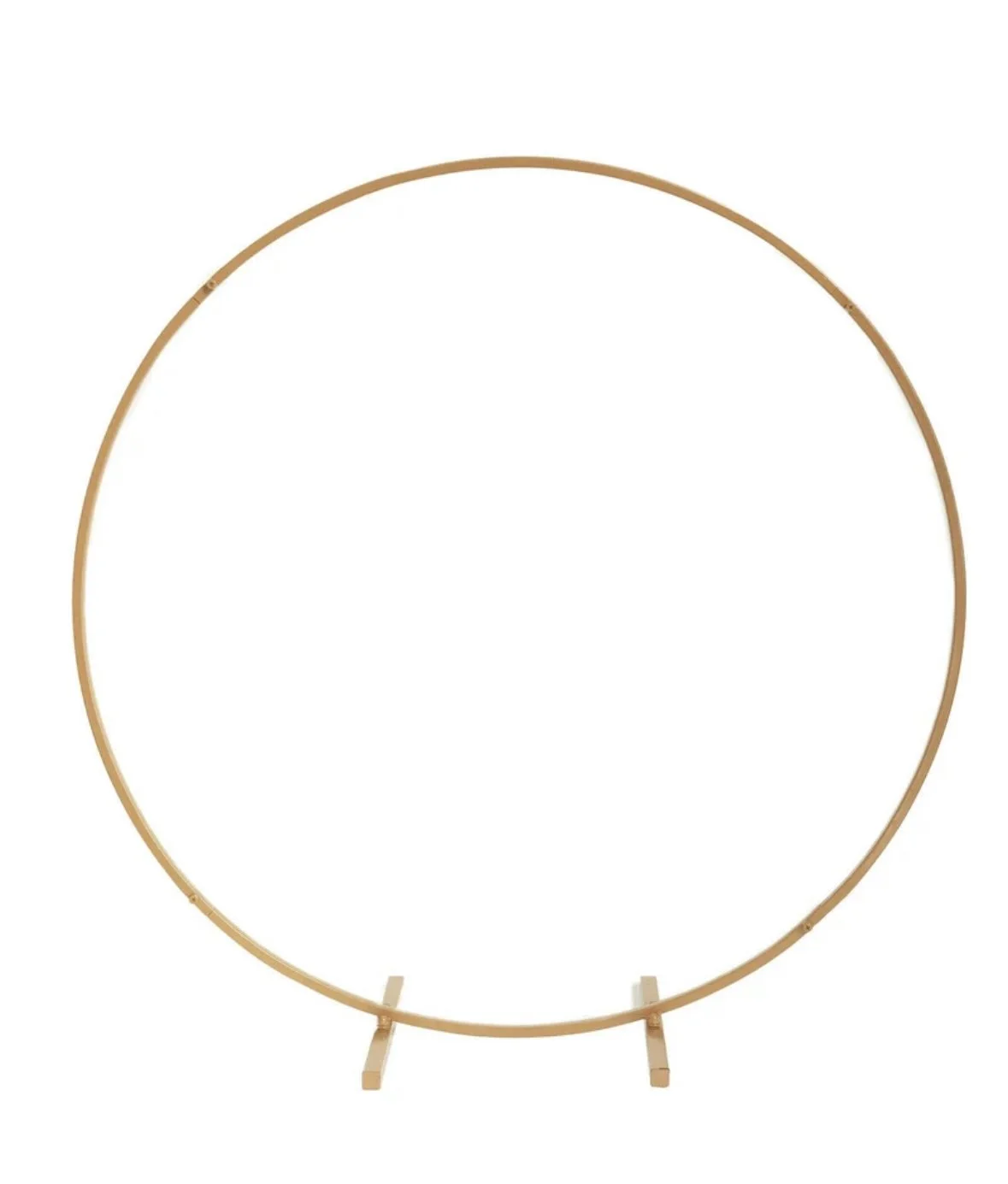 Mini Gold Hoop