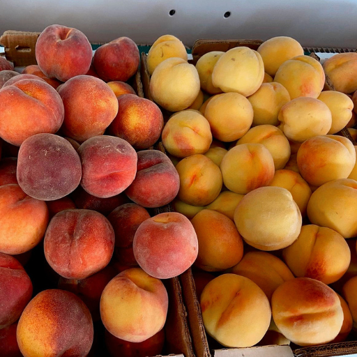 8th Annual Palisade Peach Dinner at Osteria Marco
