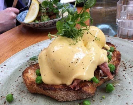 Eggs Benedict with Microgreens and Mushrooms
