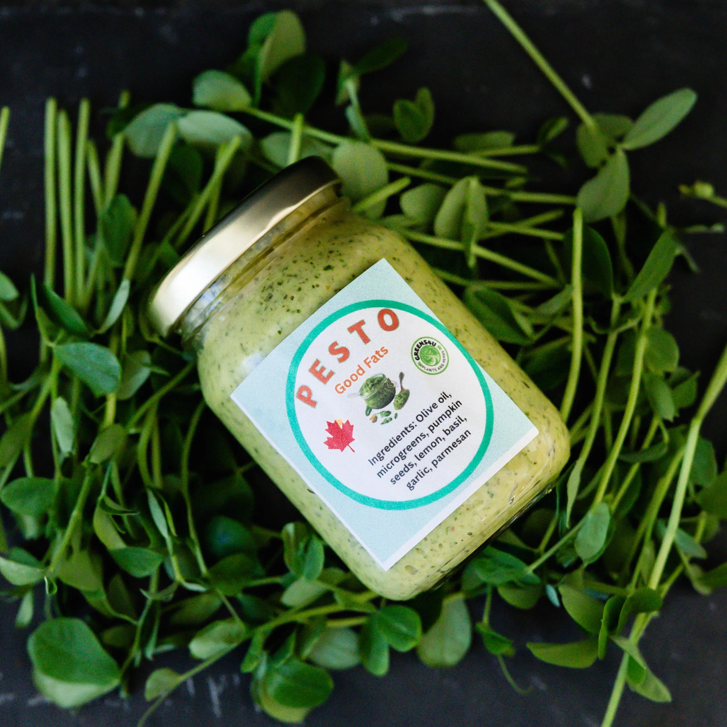 pesto6.jpg